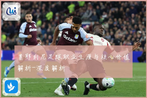 基耶利尼足球职业生涯与核心价值解析-深度解析