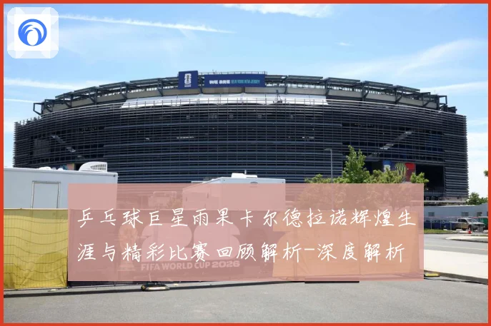 乒乓球巨星雨果卡尔德拉诺辉煌生涯与精彩比赛回顾解析-深度解析