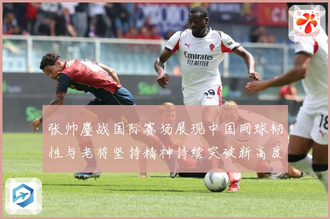 张帅鏖战国际赛场展现中国网球韧性与老将坚持精神持续突破新高度-深度解析