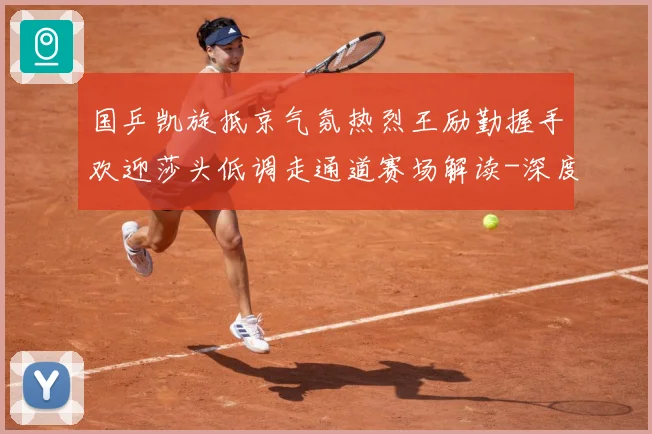 国乒凯旋抵京气氛热烈王励勤握手欢迎莎头低调走通道赛场解读-深度解析