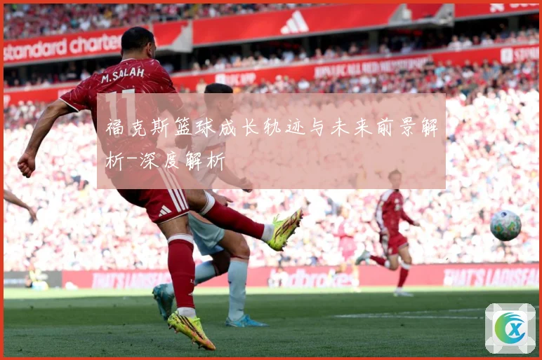 福克斯篮球成长轨迹与未来前景解析-深度解析
