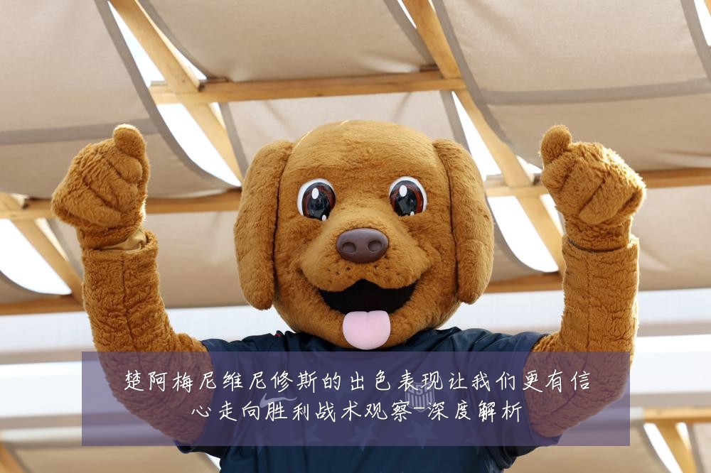 楚阿梅尼维尼修斯的出色表现让我们更有信心走向胜利战术观察-深度解析